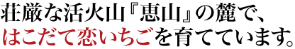荘厳な活火山『恵山』の麓で、 はこだて恋いちごを育てています。