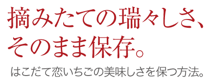 摘みたての瑞々しさ、そのまま保存。はこだて恋いちごの美味しさを保つ方法。