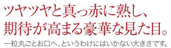 ツヤツヤと真っ赤に熟し、期待が高まる豪華な見た目。一粒丸ごとお口へ、というわけにはいかない大きさです。